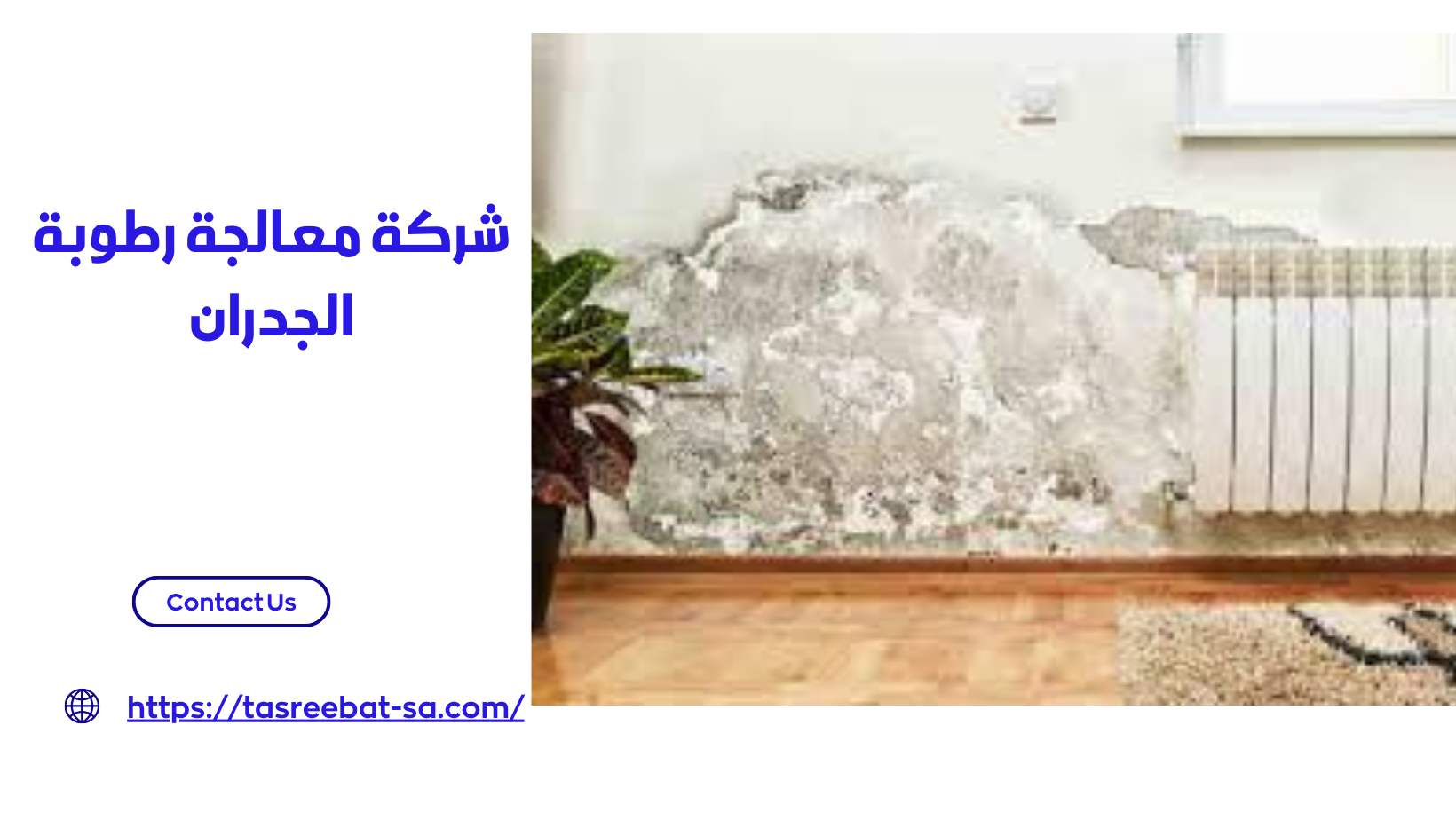 شركة معالجة رطوبة الجدران