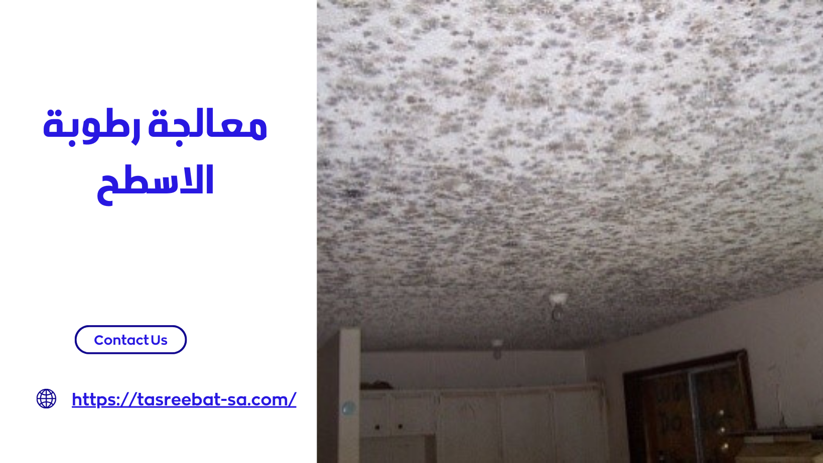 معالجة رطوبة الاسطح