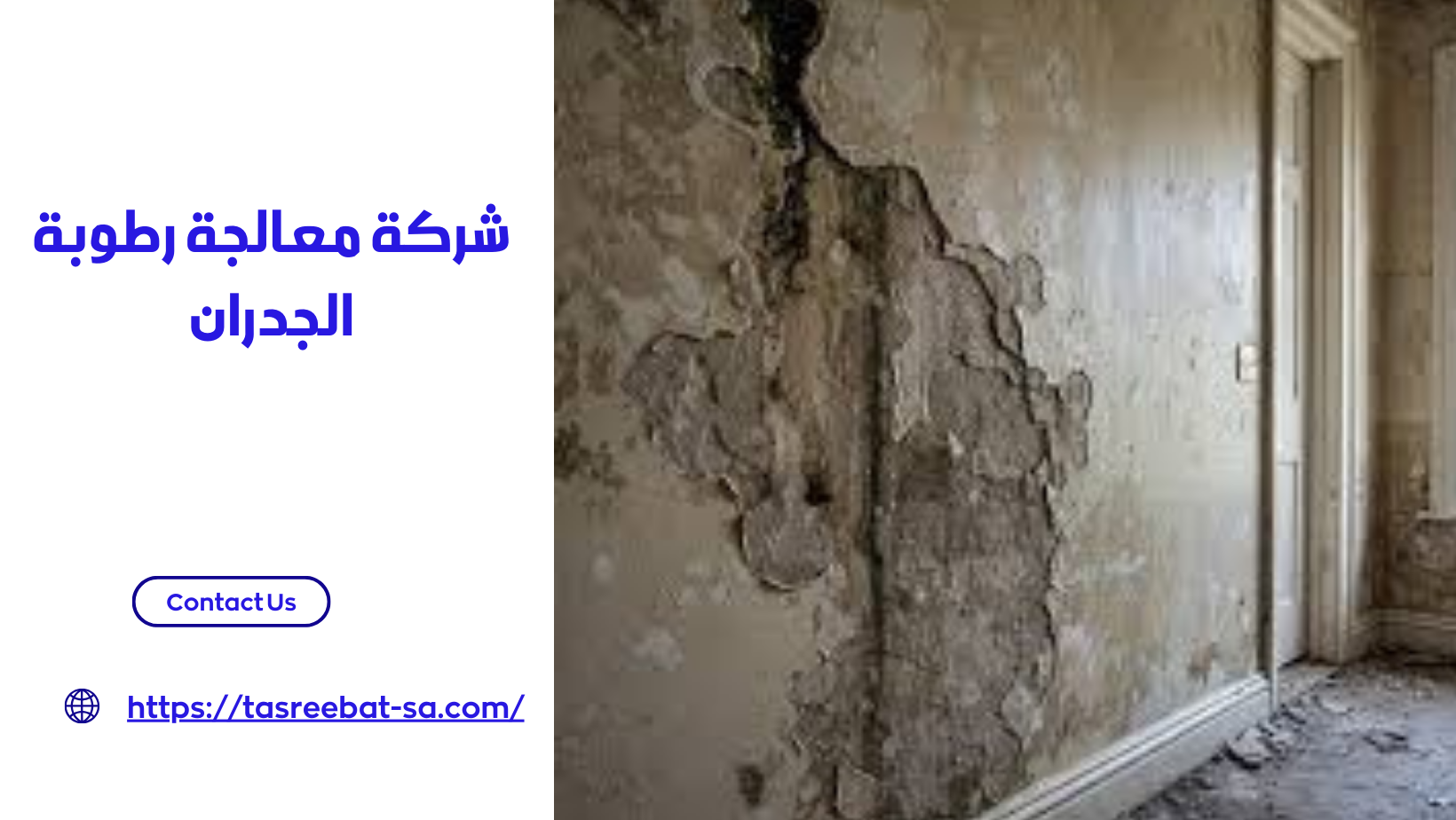 شركة معالجة رطوبة الجدران